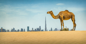 Dune Bashing Dubai 